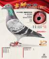 图片暂时未上传