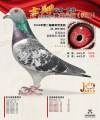 图片暂时未上传