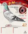 图片暂时未上传