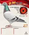 图片暂时未上传