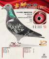 图片暂时未上传