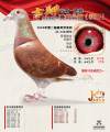 图片暂时未上传