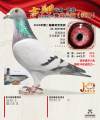 图片暂时未上传