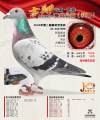 图片暂时未上传