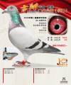 图片暂时未上传