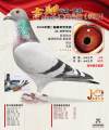 图片暂时未上传