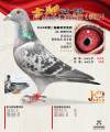 图片暂时未上传