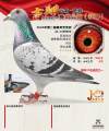 图片暂时未上传