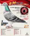 图片暂时未上传