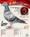 图片暂时未上传
