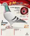 图片暂时未上传