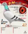 图片暂时未上传