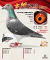 图片暂时未上传