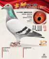 图片暂时未上传