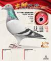 图片暂时未上传