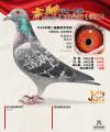 图片暂时未上传