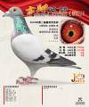 图片暂时未上传