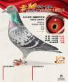 图片暂时未上传