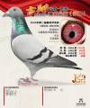 图片暂时未上传