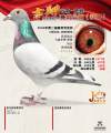 图片暂时未上传