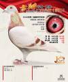 图片暂时未上传