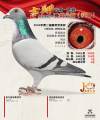 图片暂时未上传