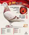 图片暂时未上传