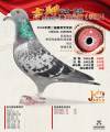图片暂时未上传