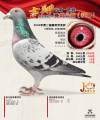 图片暂时未上传