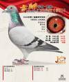 图片暂时未上传