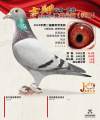 图片暂时未上传