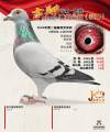 图片暂时未上传