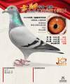图片暂时未上传