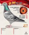 图片暂时未上传