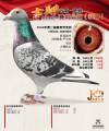 图片暂时未上传