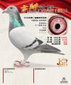 图片暂时未上传