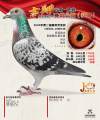 图片暂时未上传
