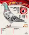 图片暂时未上传