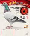 图片暂时未上传