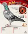 图片暂时未上传