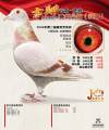 图片暂时未上传