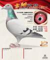 图片暂时未上传