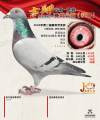 图片暂时未上传
