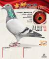 图片暂时未上传