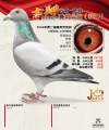 图片暂时未上传