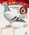 图片暂时未上传