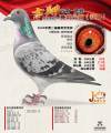 图片暂时未上传