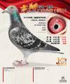 图片暂时未上传