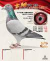 图片暂时未上传