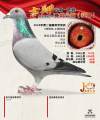 图片暂时未上传